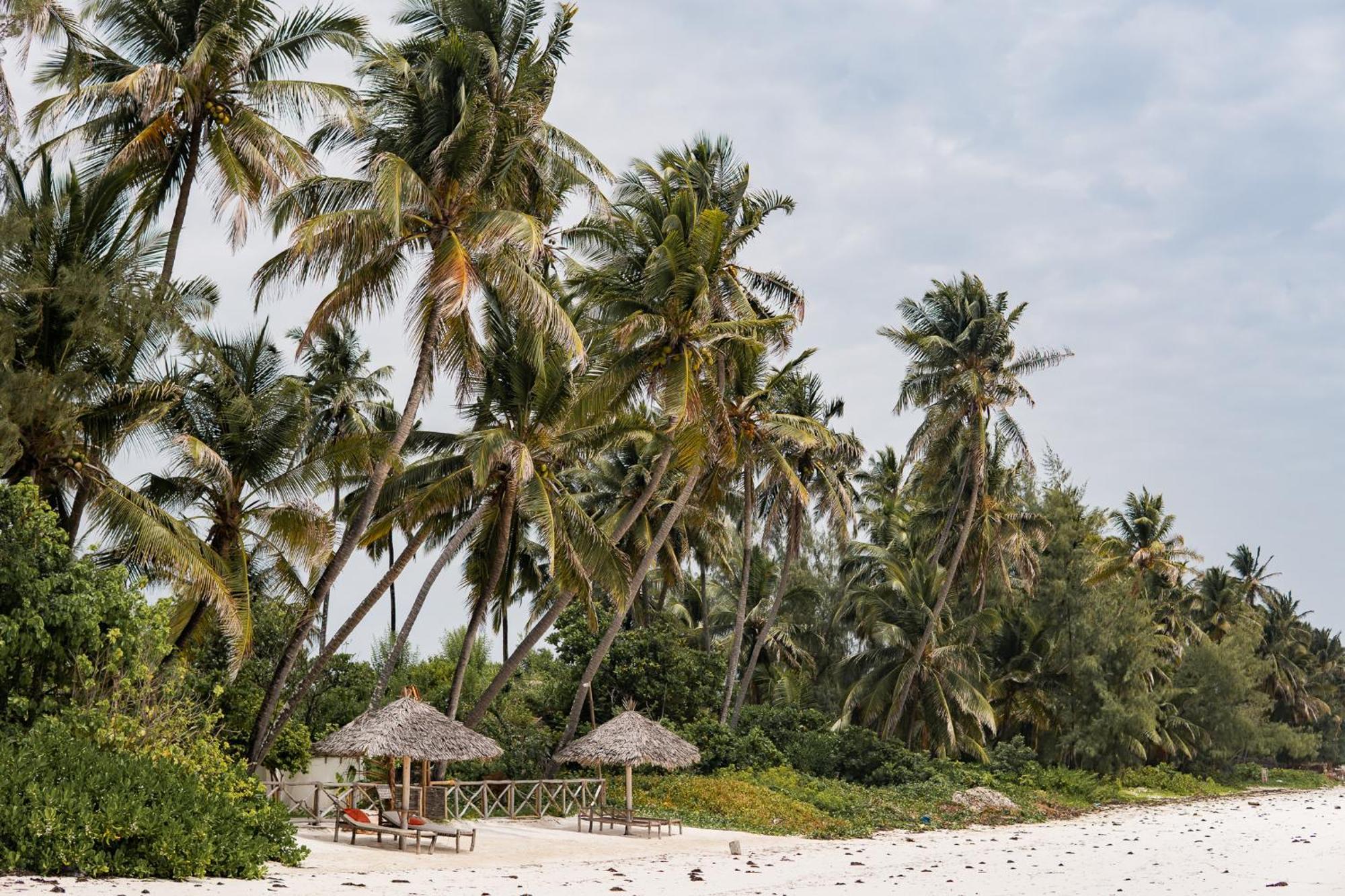 Kima Serviced Beach House & Suites Bwejuu Exterior foto